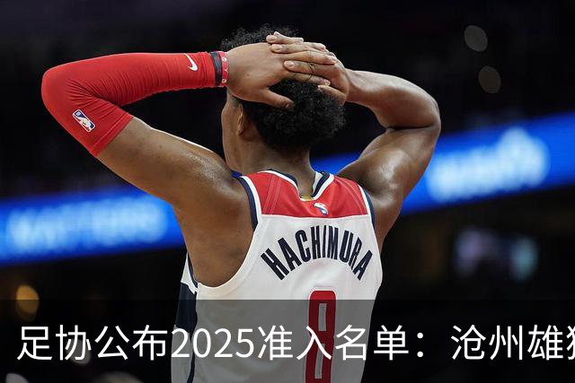 足协公布2025准入名单：沧州雄狮、广州队无缘